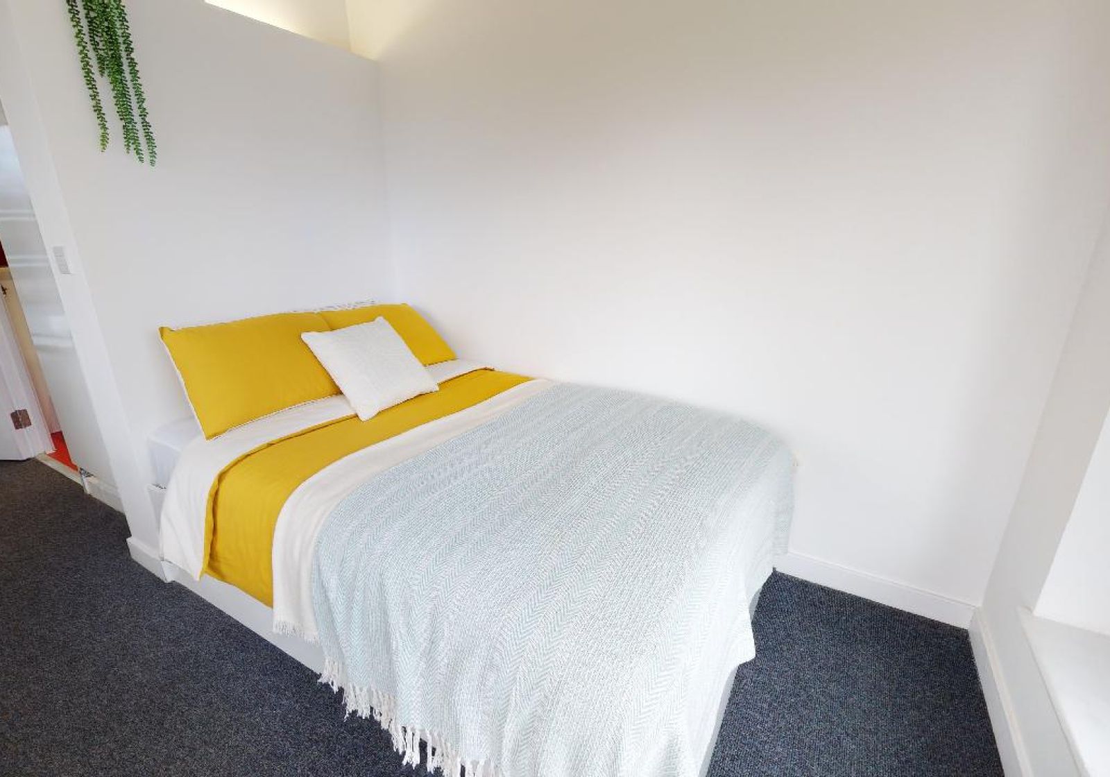 iQ Flinders House