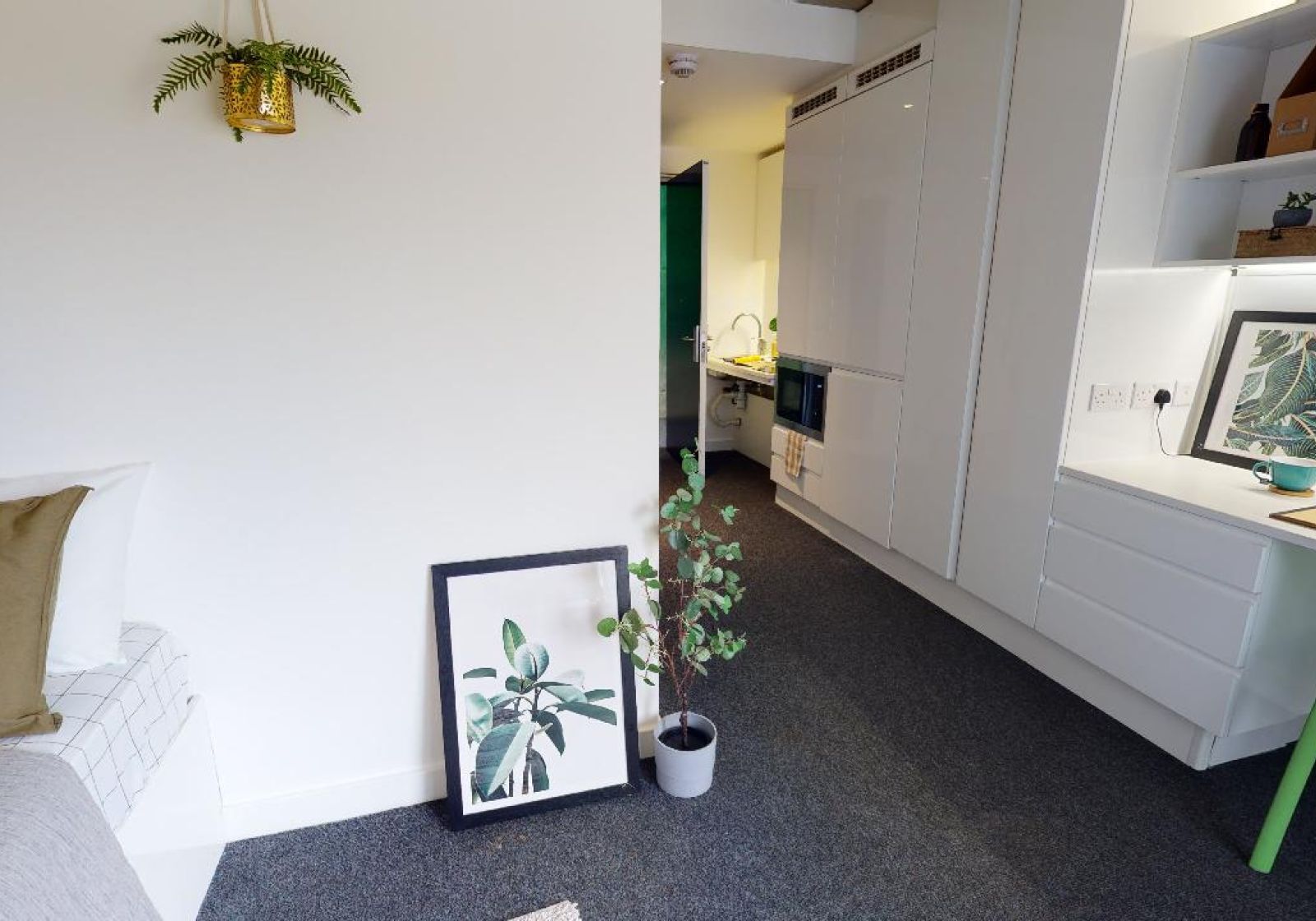 iQ Flinders House